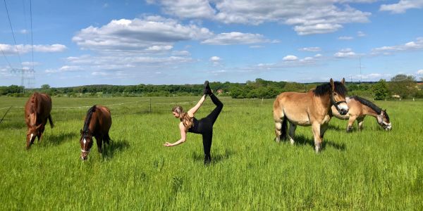 Pferde und Yoga Retreat